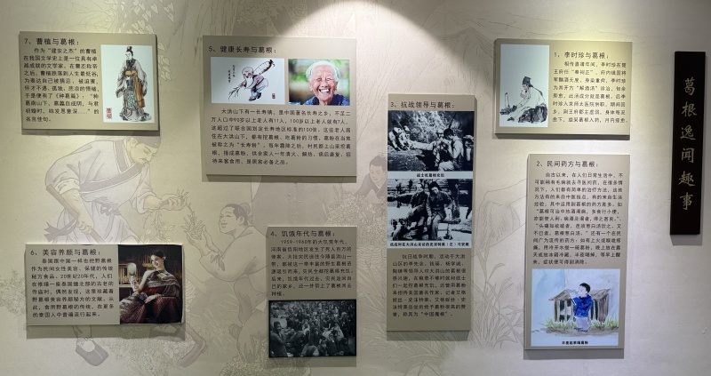 葛根趣事.jpg