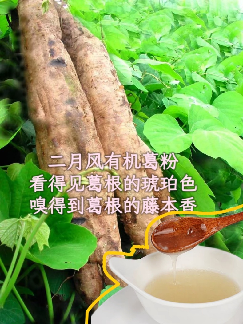 二月風有機葛粉，看得見葛根的琥珀色，嗅得到葛根的藤本香_790.jpg