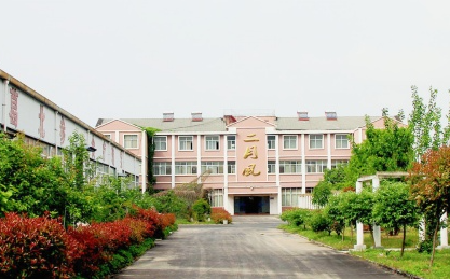 二月風野生葛根粉，當代年輕人的反焦慮新寵