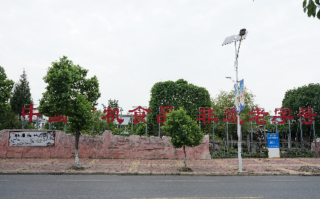 當(dāng)定制葛粉時(shí)，我們真正在選擇什么？