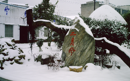 二月風(fēng)致老友：一碗葛根粉的牽掛，農(nóng)博會(huì)上的重逢之約二月風(fēng)盼老友：農(nóng)博會(huì)上，再續(xù)葛粉情緣