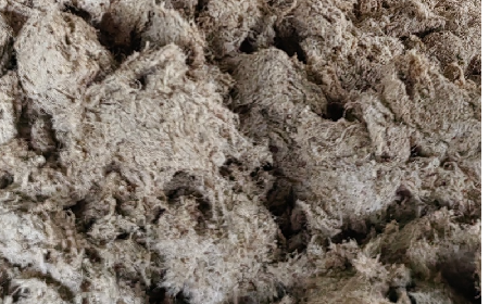 深入大洪山，只為一口純凈 -二月風(fēng)今冬野生葛根收購(gòu)紀(jì)實(shí)